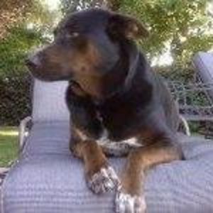 Meet your Posher, Marjorie